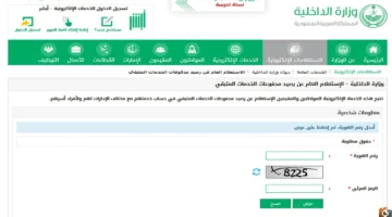 تفاصيل الاستعلام عن رصيد مدفوعات الجوازات السعودية برقم الإقامة